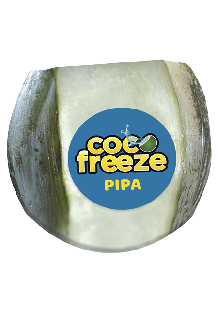 COCO FREEZE PIPA DE COCO