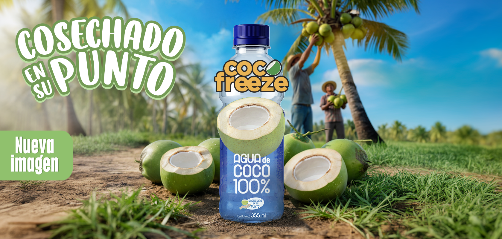 ECOPACIFIC-COCO-FREEZE-PORTADA 2026